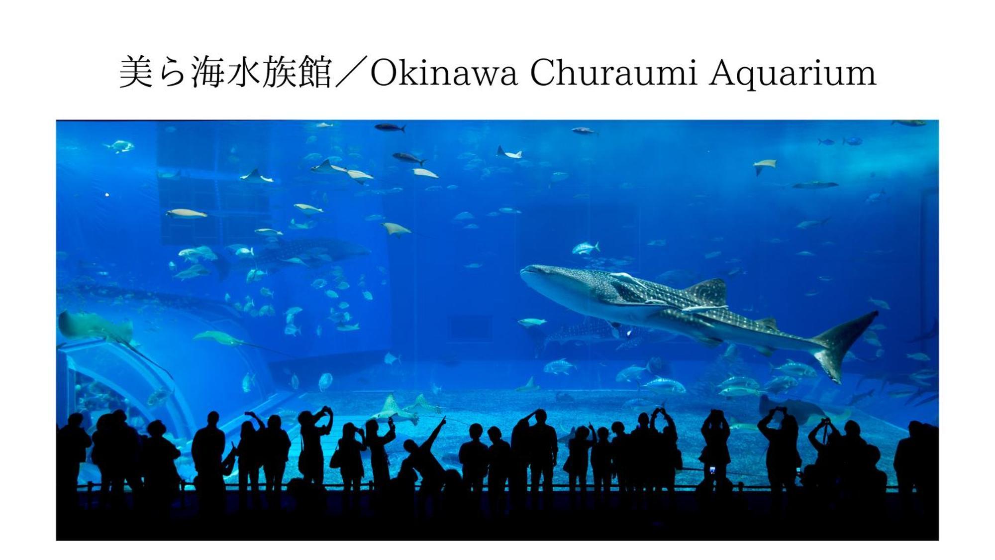 Aqua Shallows Onna Eksteriør billede